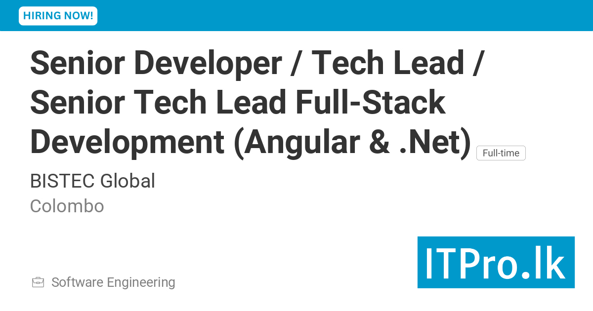Senior Developer / Tech Lead / Senior Tech Lead Full-Stack Development ...