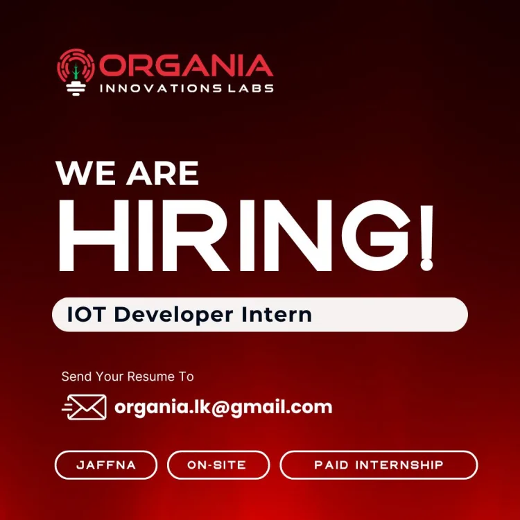 Job poster for IoT Developer Intern